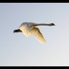 20070406_170